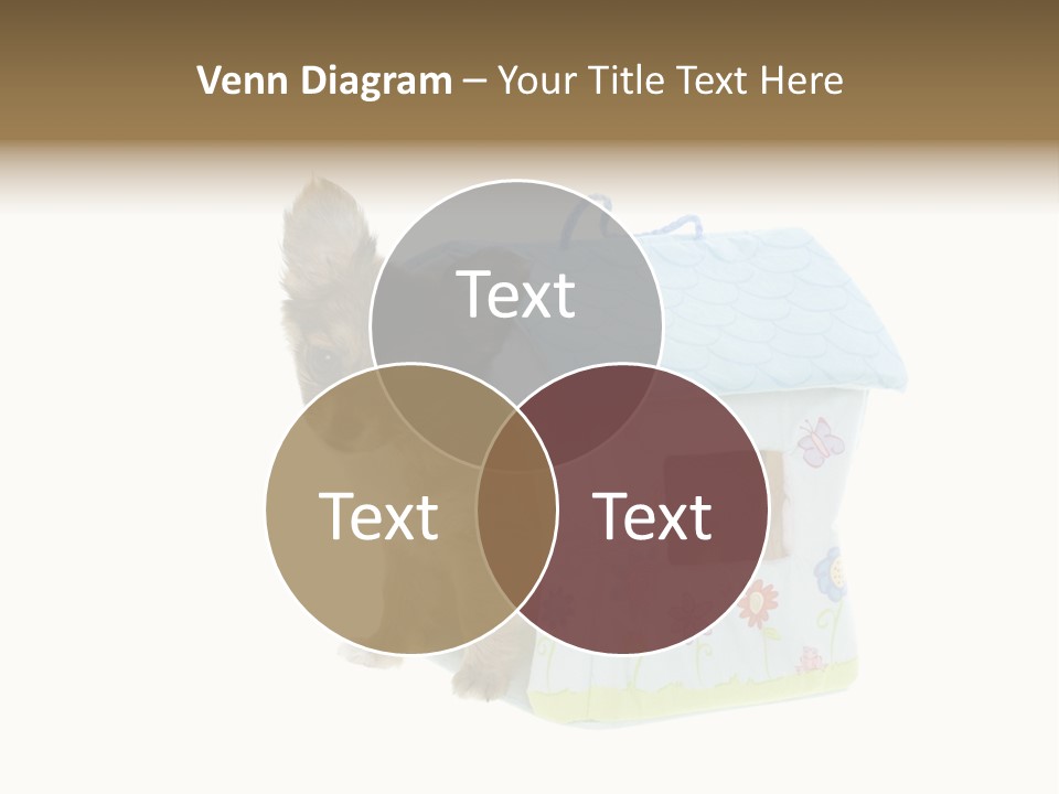 Care Treatment Body PowerPoint Template