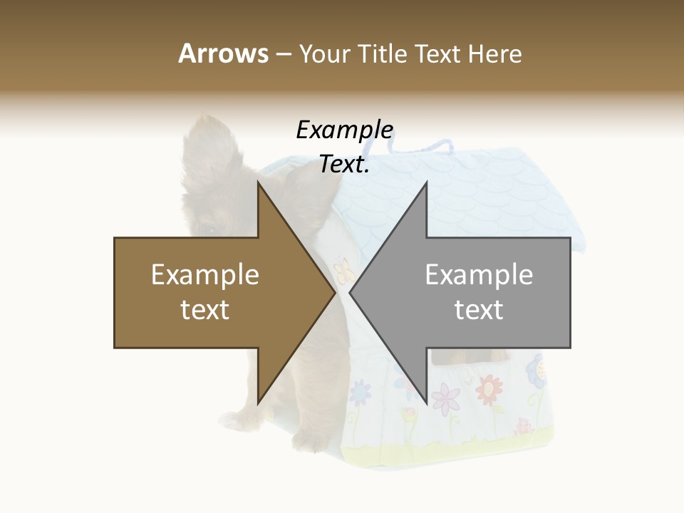 Care Treatment Body PowerPoint Template