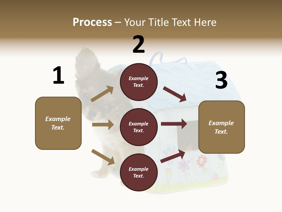 Care Treatment Body PowerPoint Template