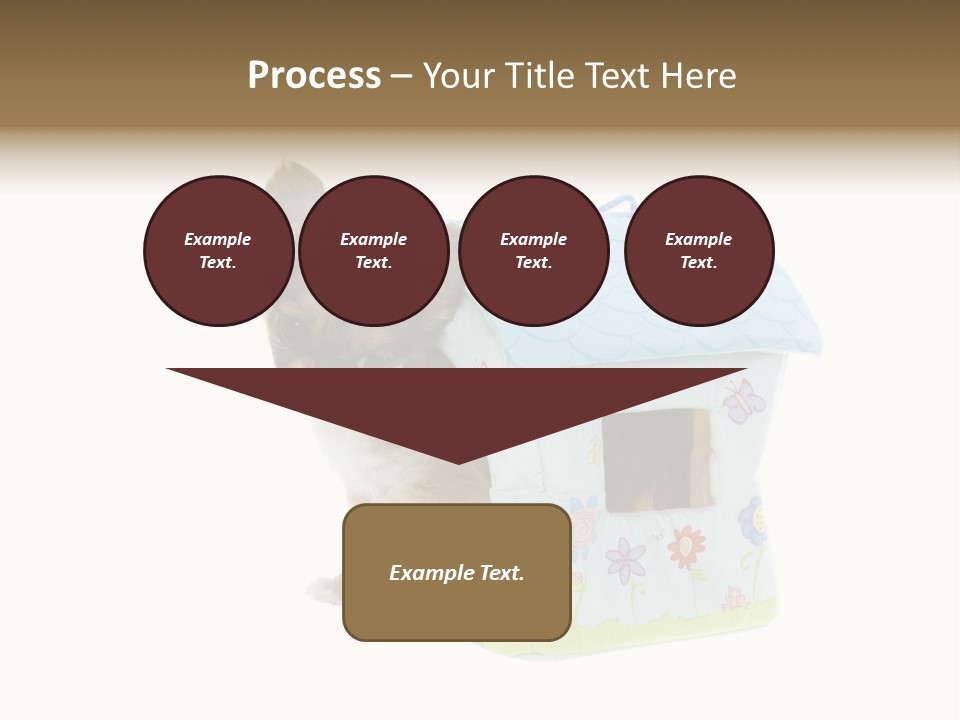 Care Treatment Body PowerPoint Template