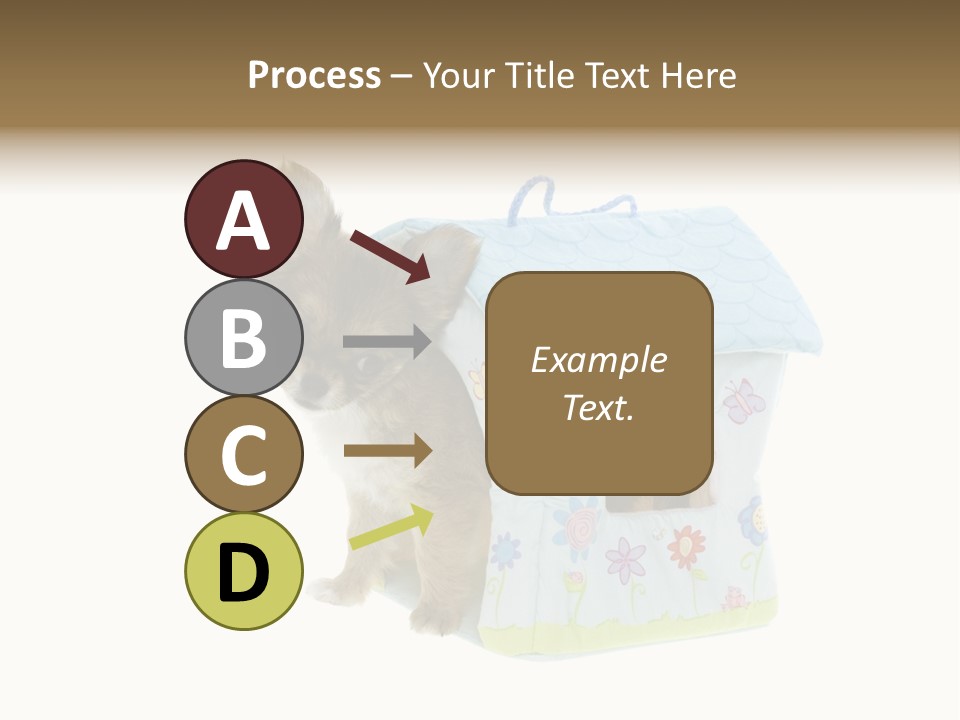 Care Treatment Body PowerPoint Template