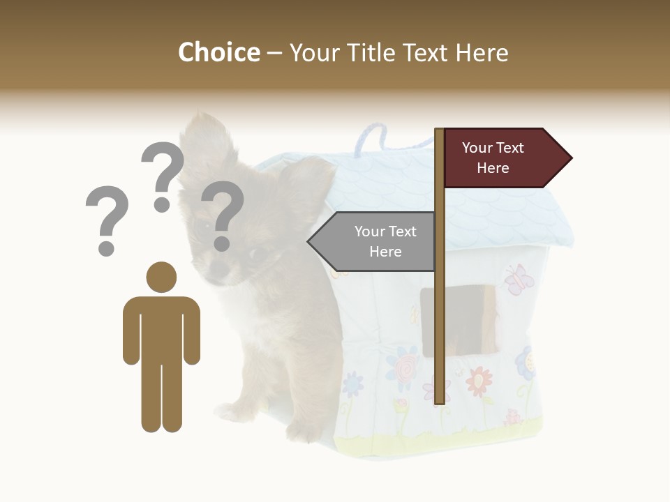 Care Treatment Body PowerPoint Template