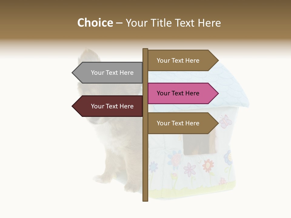 Care Treatment Body PowerPoint Template
