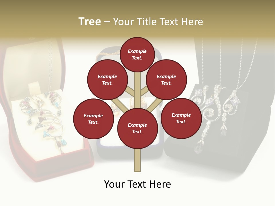 Three Different Types Of Jewelry In A Presentation Box PowerPoint Template