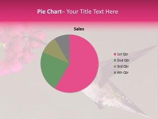 Avian Humming Hover PowerPoint Template