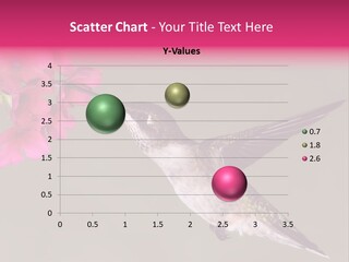 Avian Humming Hover PowerPoint Template