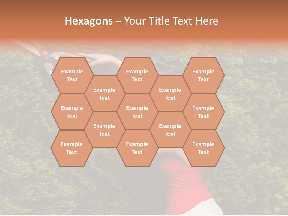 Sunlight Leisure Gardener PowerPoint Template