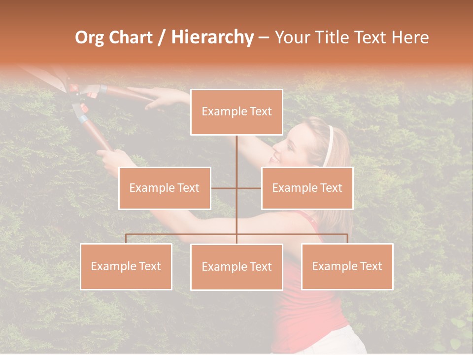 Sunlight Leisure Gardener PowerPoint Template