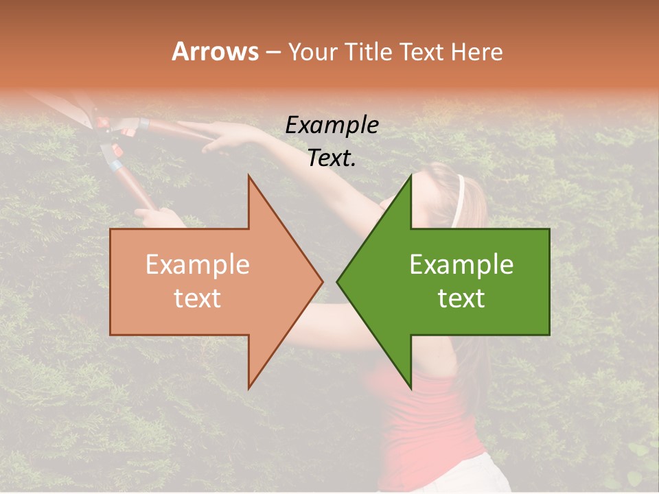 Sunlight Leisure Gardener PowerPoint Template
