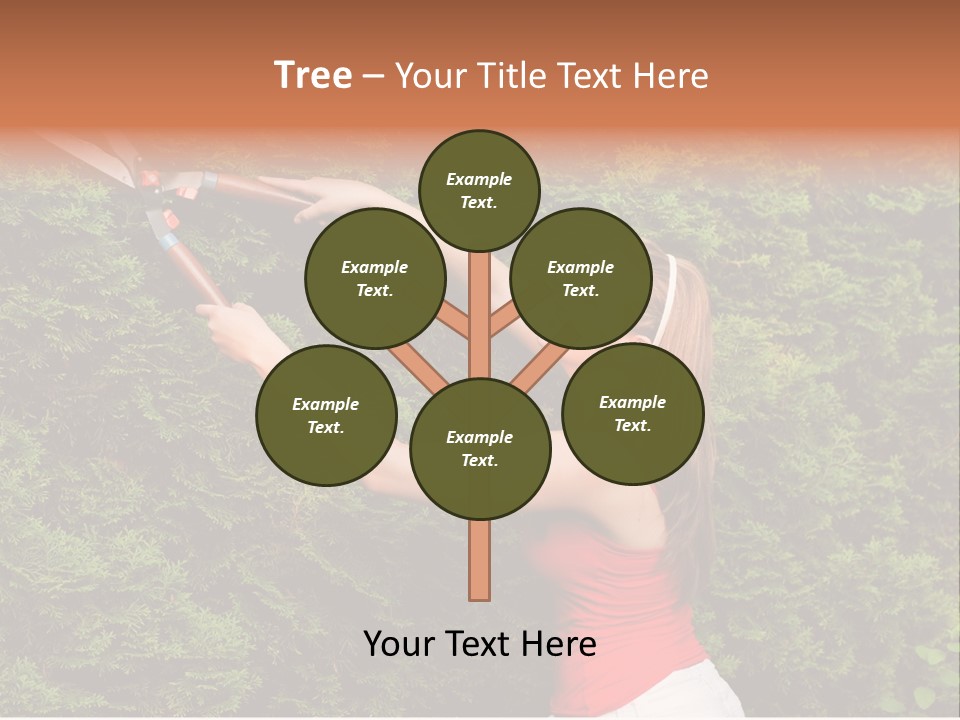 Sunlight Leisure Gardener PowerPoint Template