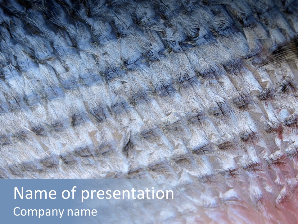 A Close Up View Of A Textured Surface With A Blue Background PowerPoint Template