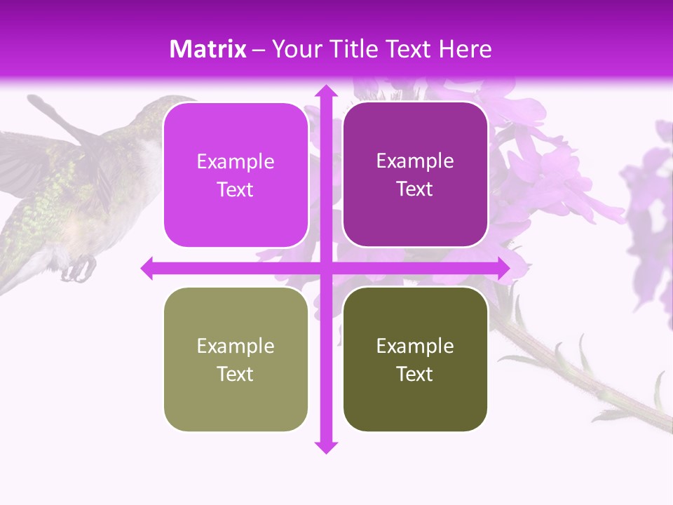A Hummingbird Flying Over A Purple Flower PowerPoint Template