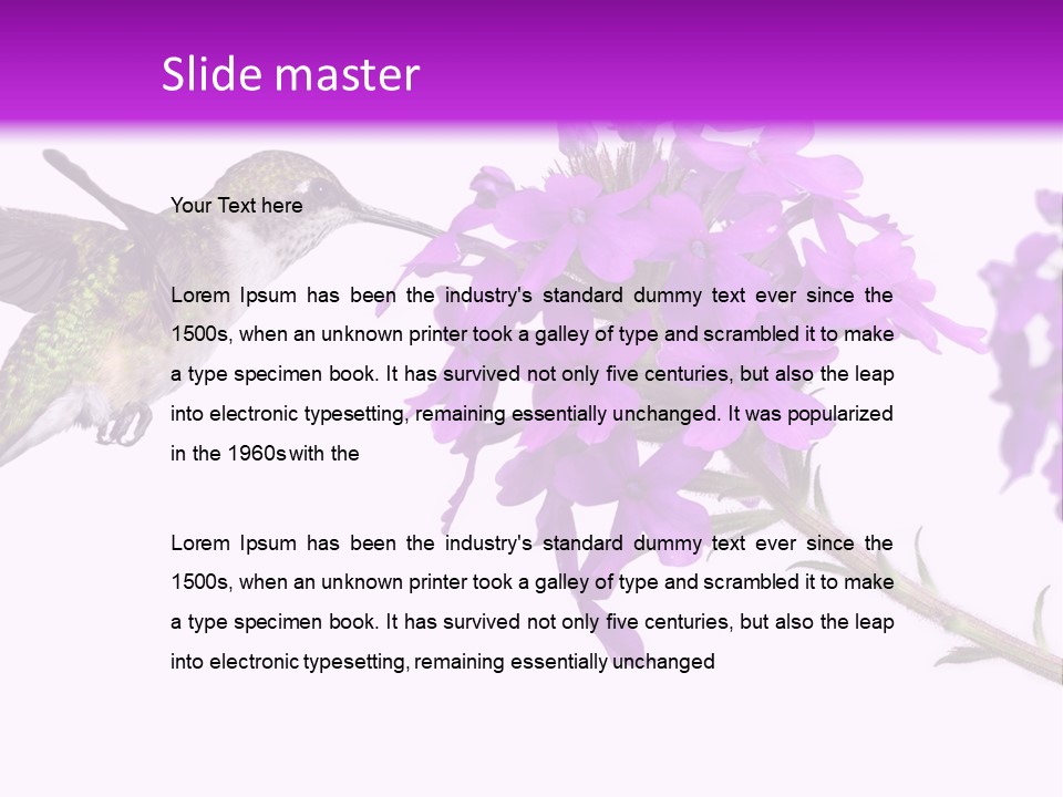 A Hummingbird Flying Over A Purple Flower PowerPoint Template