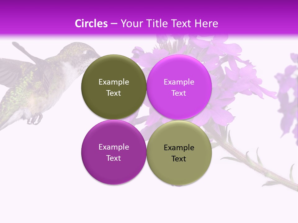 A Hummingbird Flying Over A Purple Flower PowerPoint Template