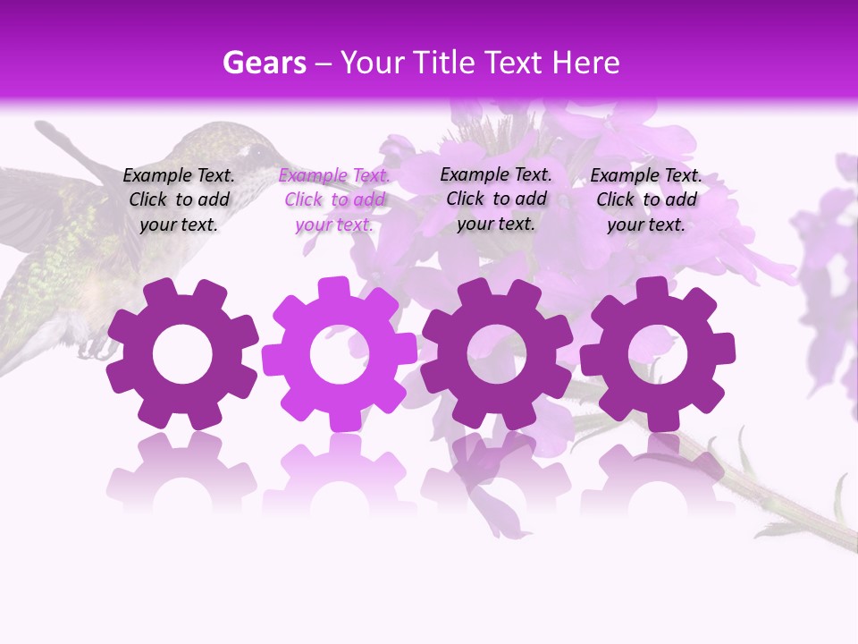 A Hummingbird Flying Over A Purple Flower PowerPoint Template