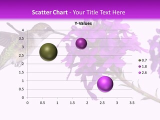 A Hummingbird Flying Over A Purple Flower PowerPoint Template