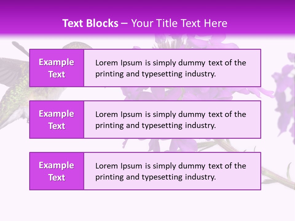 A Hummingbird Flying Over A Purple Flower PowerPoint Template