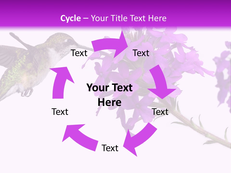 A Hummingbird Flying Over A Purple Flower PowerPoint Template