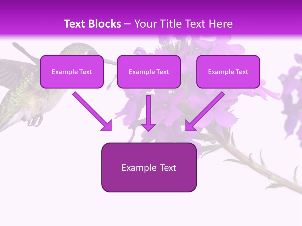 A Hummingbird Flying Over A Purple Flower PowerPoint Template