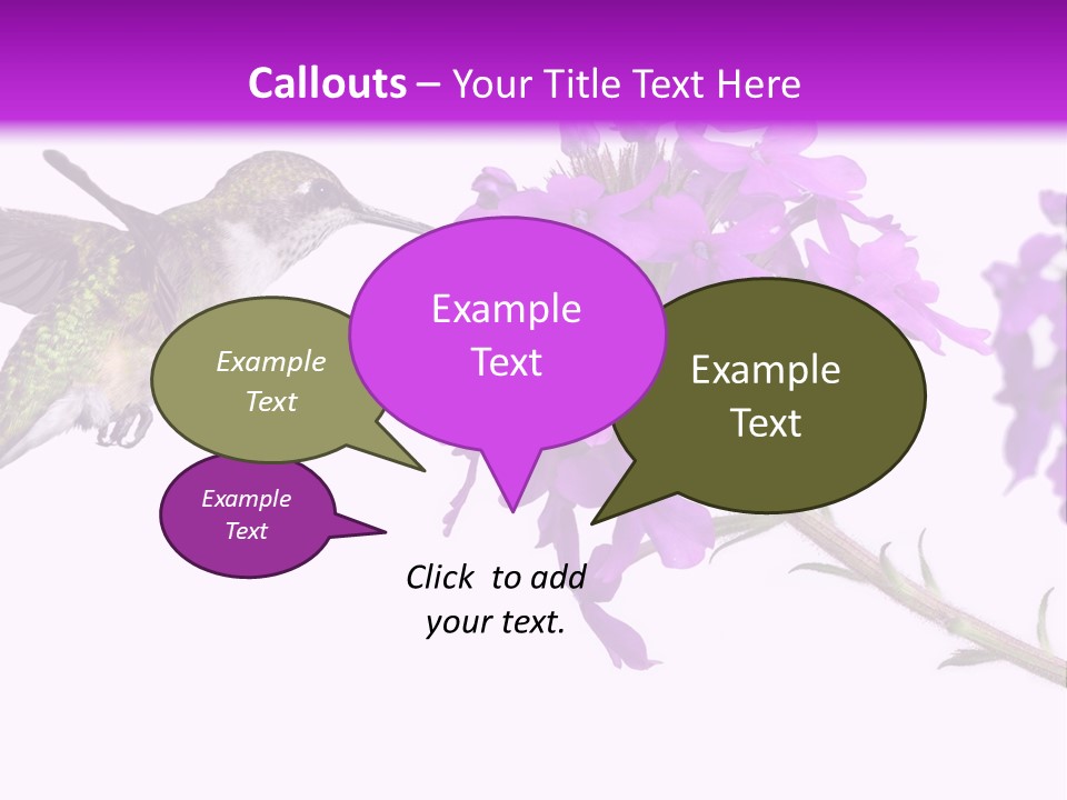 A Hummingbird Flying Over A Purple Flower PowerPoint Template