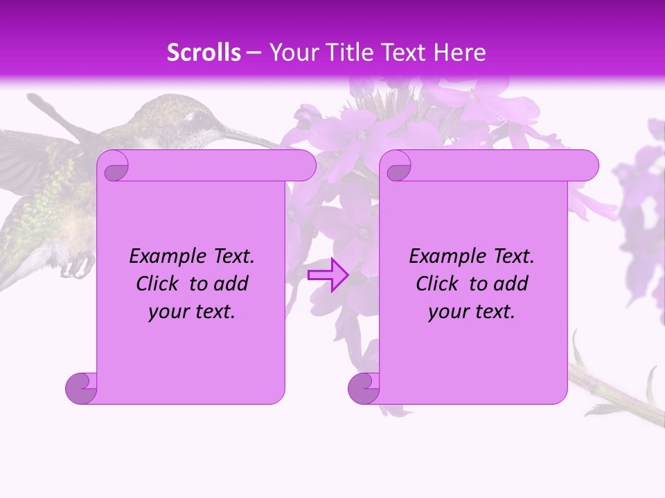 A Hummingbird Flying Over A Purple Flower PowerPoint Template