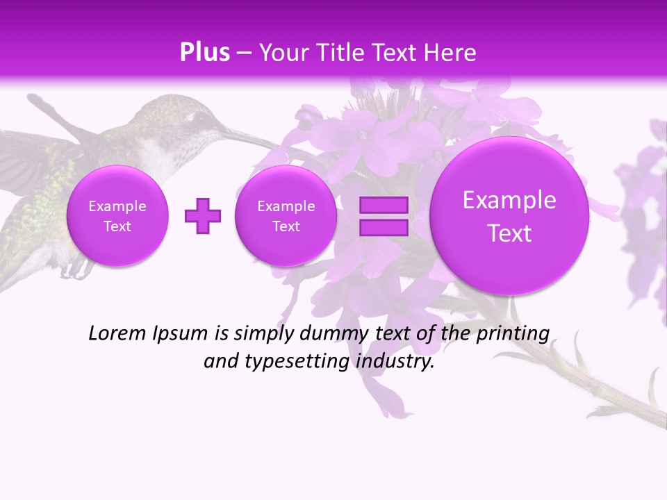 A Hummingbird Flying Over A Purple Flower PowerPoint Template