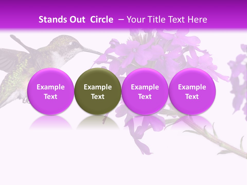A Hummingbird Flying Over A Purple Flower PowerPoint Template