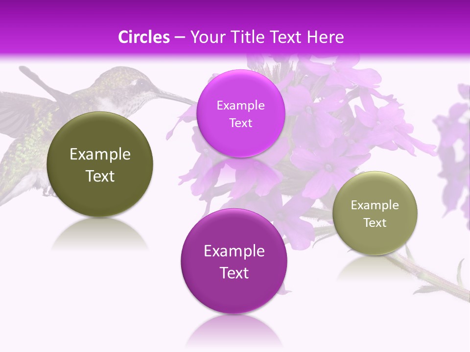 A Hummingbird Flying Over A Purple Flower PowerPoint Template