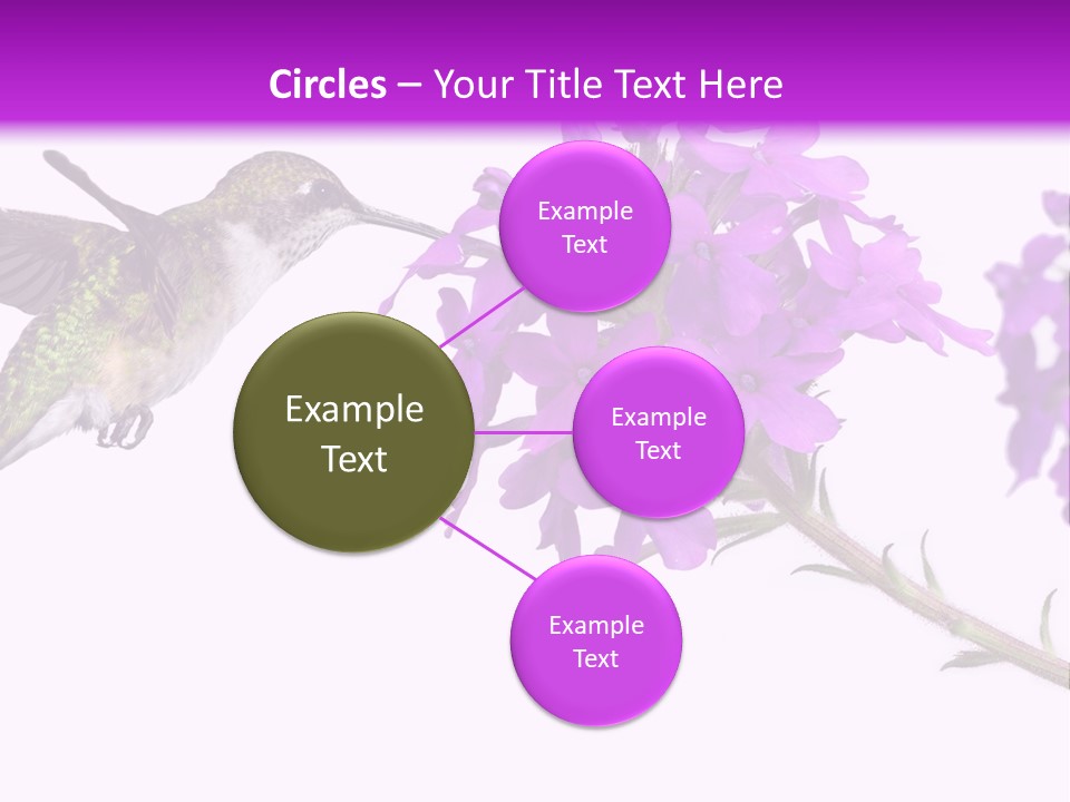 A Hummingbird Flying Over A Purple Flower PowerPoint Template