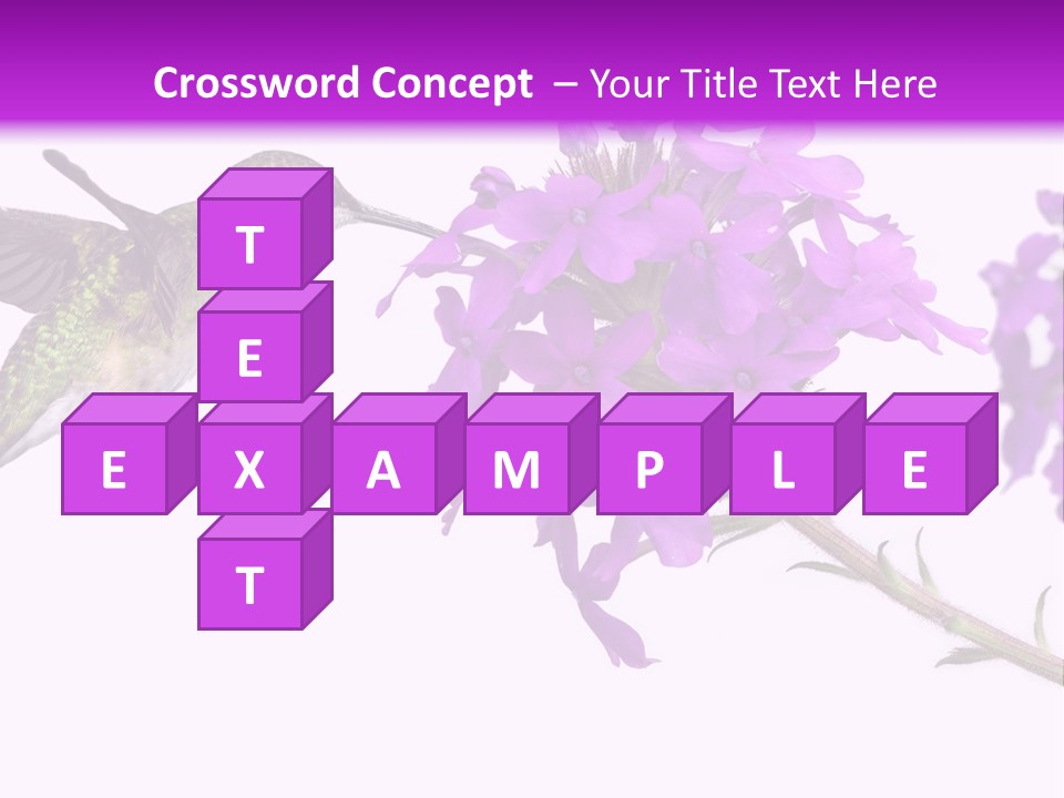 A Hummingbird Flying Over A Purple Flower PowerPoint Template