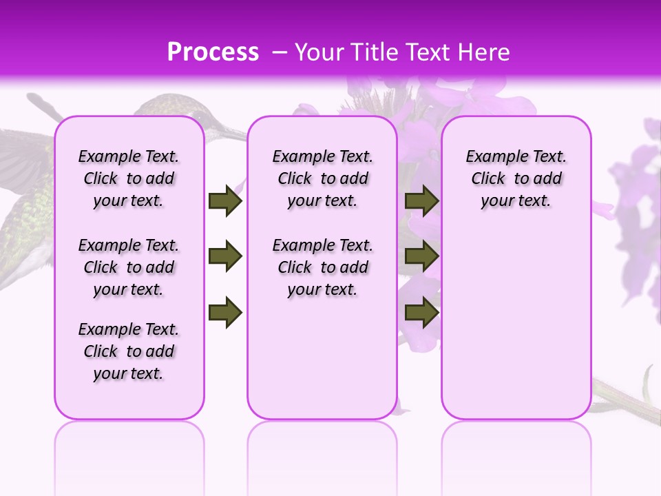 A Hummingbird Flying Over A Purple Flower PowerPoint Template