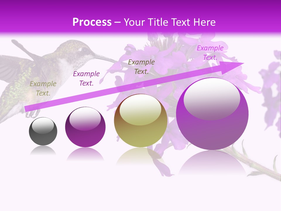 A Hummingbird Flying Over A Purple Flower PowerPoint Template
