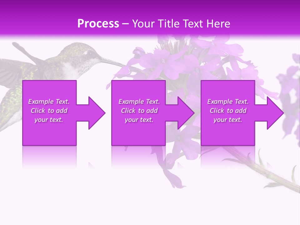 A Hummingbird Flying Over A Purple Flower PowerPoint Template