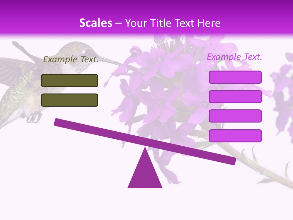 A Hummingbird Flying Over A Purple Flower PowerPoint Template