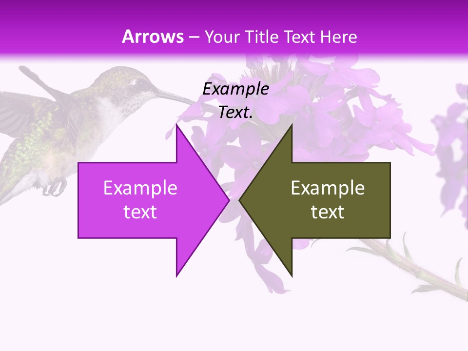 A Hummingbird Flying Over A Purple Flower PowerPoint Template