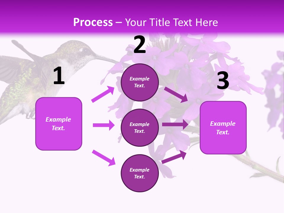 A Hummingbird Flying Over A Purple Flower PowerPoint Template