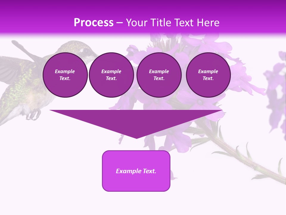 A Hummingbird Flying Over A Purple Flower PowerPoint Template