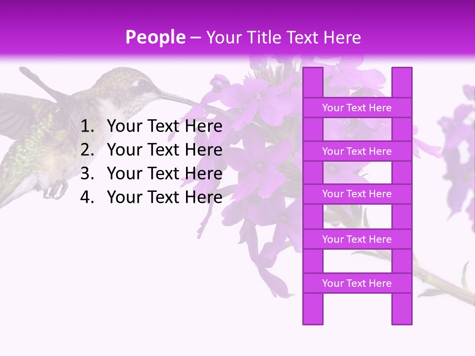 A Hummingbird Flying Over A Purple Flower PowerPoint Template