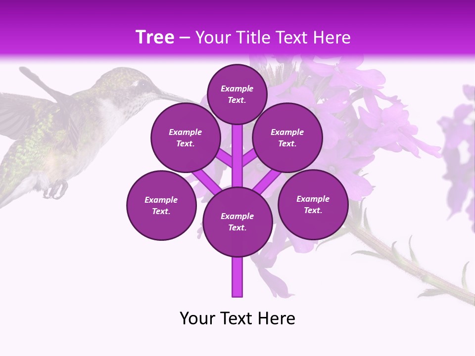 A Hummingbird Flying Over A Purple Flower PowerPoint Template