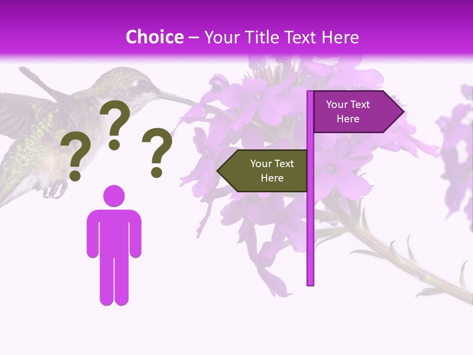 A Hummingbird Flying Over A Purple Flower PowerPoint Template
