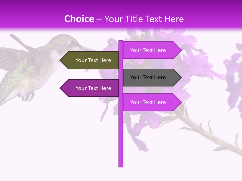 A Hummingbird Flying Over A Purple Flower PowerPoint Template