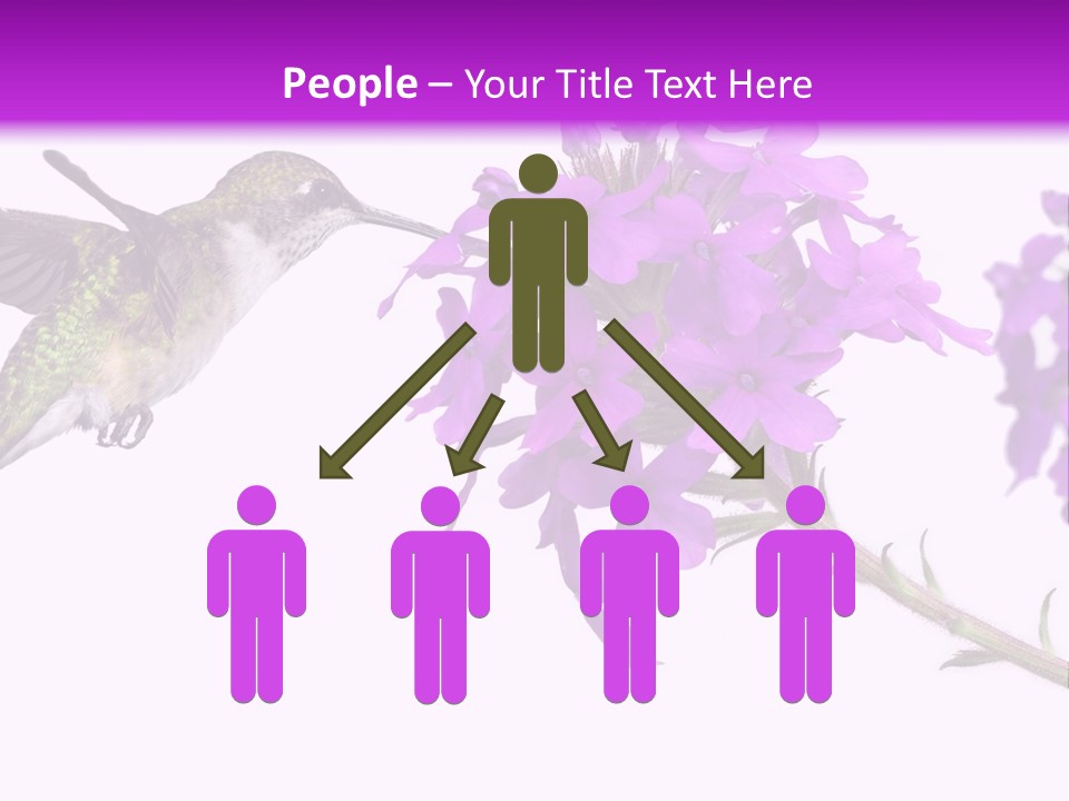 A Hummingbird Flying Over A Purple Flower PowerPoint Template