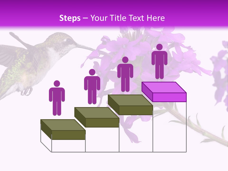 A Hummingbird Flying Over A Purple Flower PowerPoint Template