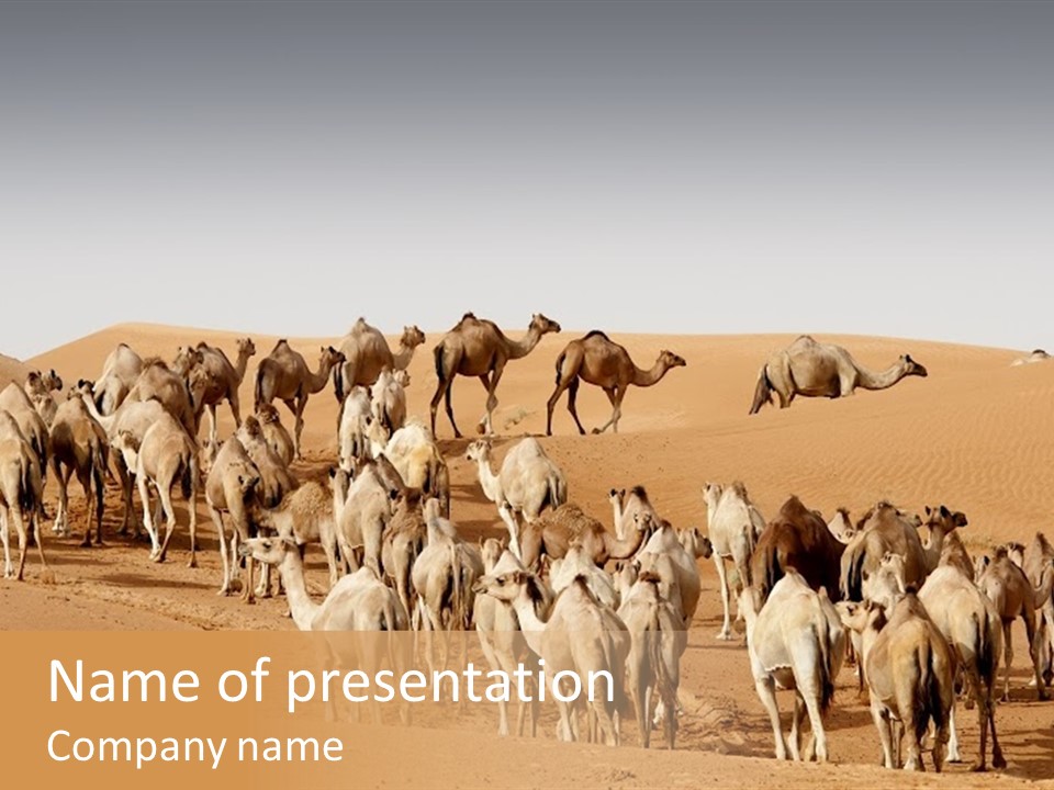 Dunes Wildlife Desert PowerPoint Template