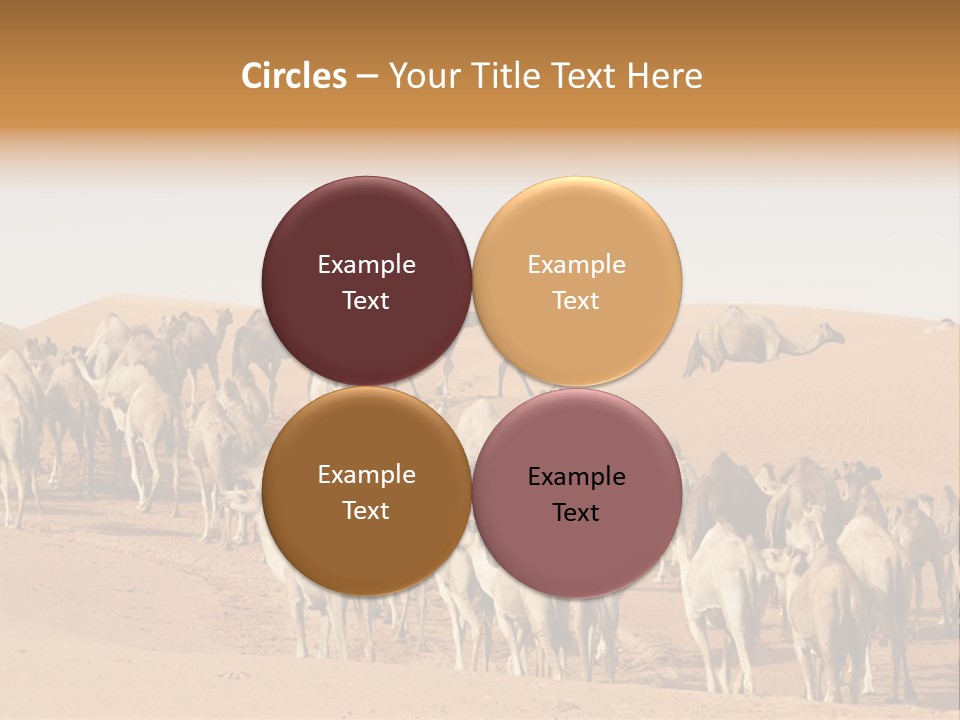 Dunes Wildlife Desert PowerPoint Template