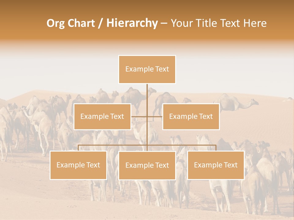 Dunes Wildlife Desert PowerPoint Template