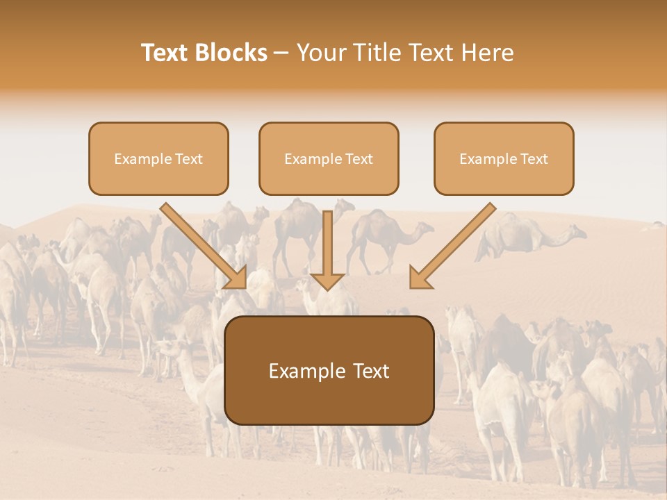 Dunes Wildlife Desert PowerPoint Template