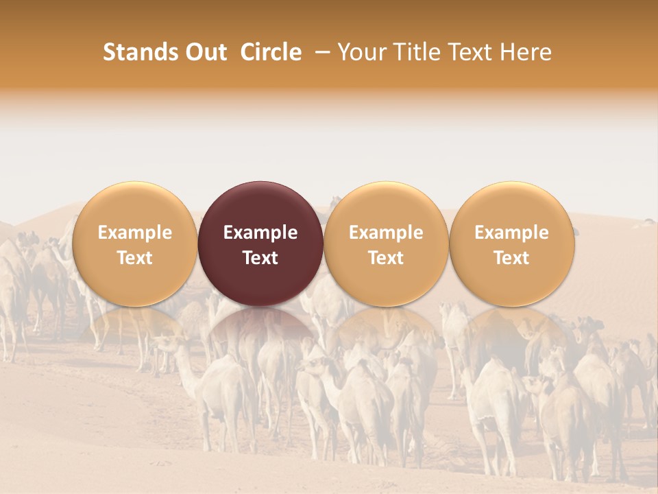 Dunes Wildlife Desert PowerPoint Template