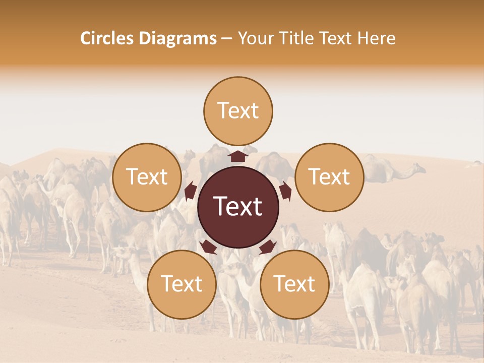 Dunes Wildlife Desert PowerPoint Template