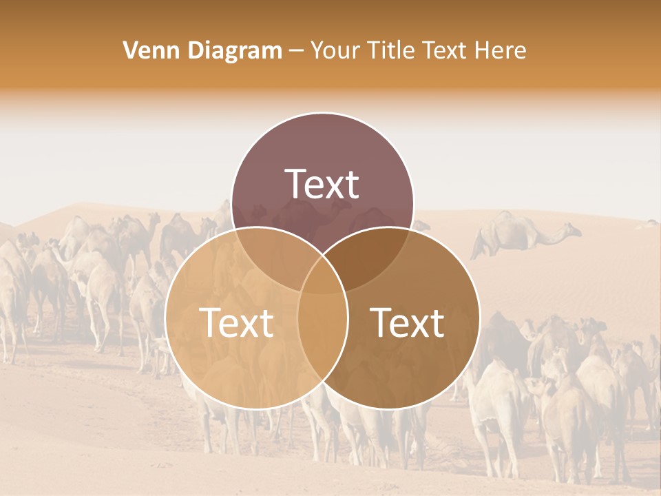 Dunes Wildlife Desert PowerPoint Template